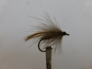 Size 18 Limparla CDC